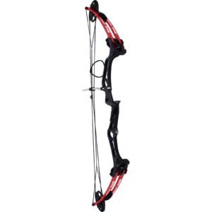 Arco Compuesto Mendoza Profesional