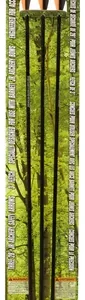 Flechas BARNETT arco junior (3 pzas.)