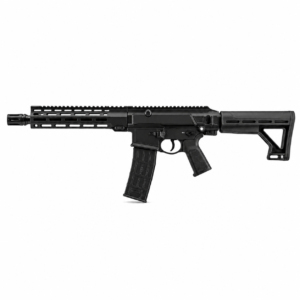 Rifle táctico deportivo estilo AR con culata ajustable y diseño moderno.