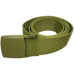 Cinturon economico verde